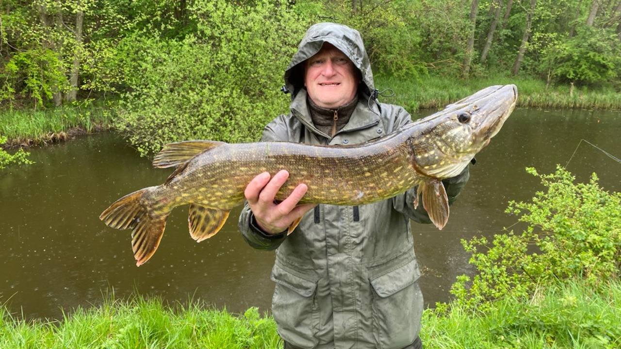 Rene Jørgensen 87 Cm