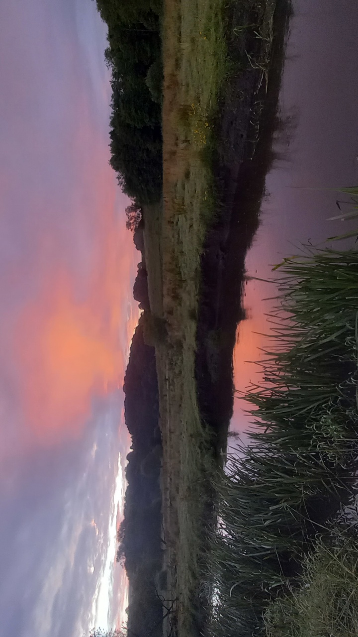 Poul Wind Morgen 20240706