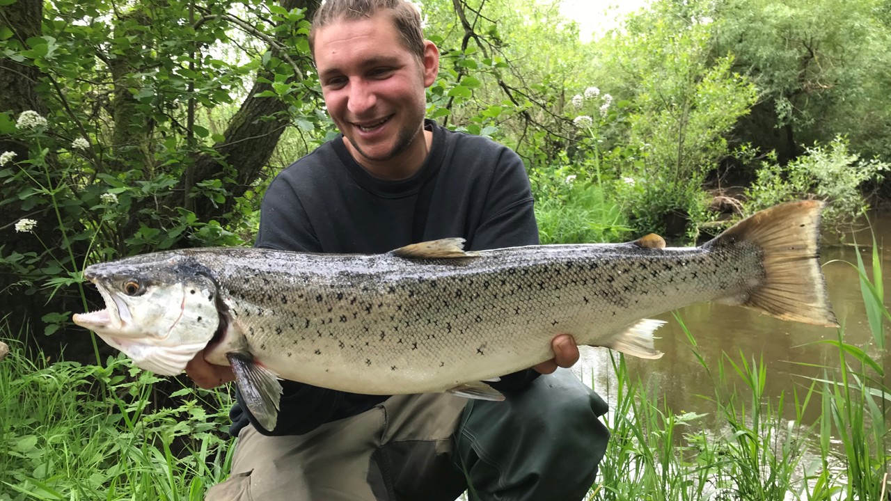 Christoffer Larsen 68 Cm 3,25 Kg 2022 06 08