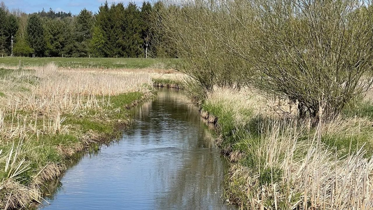 St. Hansted