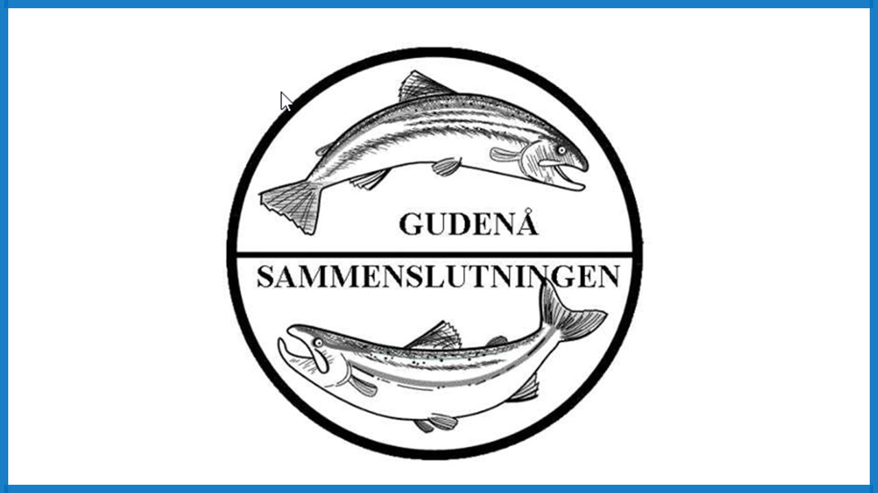 Gudenå Sammenslutningen