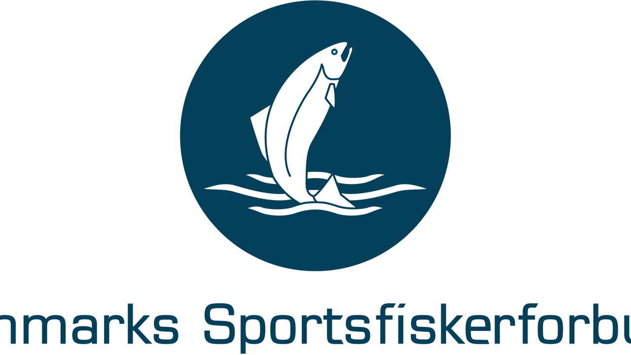 Dsf Logo