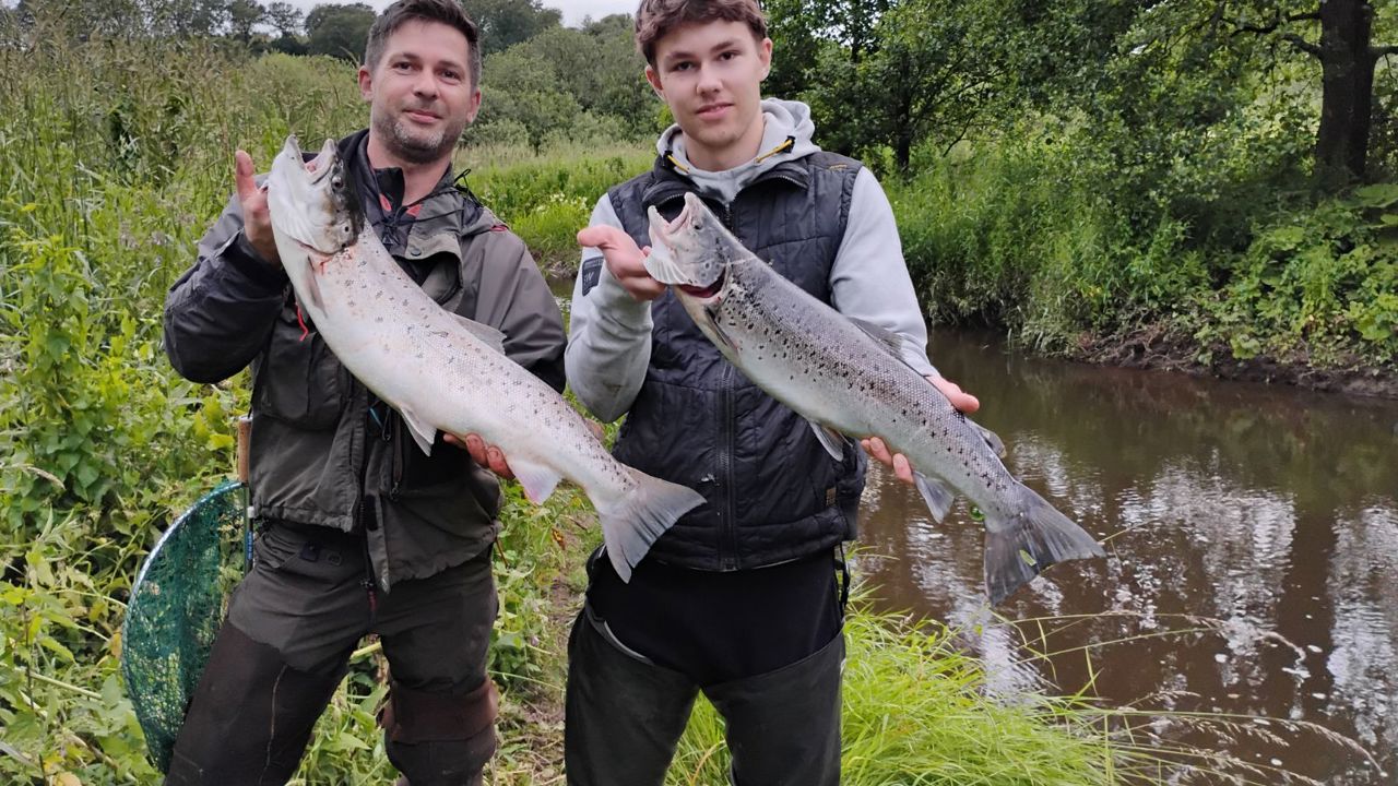 Arnel Og Aldin 73Cm 4,9 Kg Og 66Cm 3,1Kg 2024 06 28