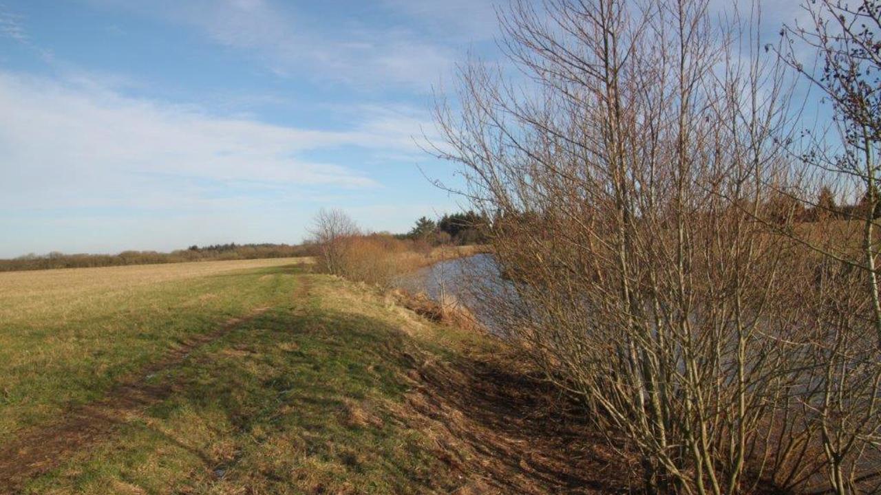 2024 Beskæring V Åen (3)