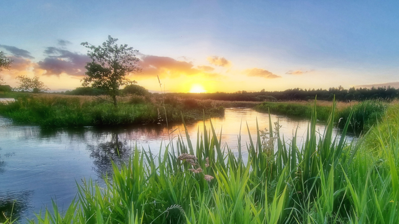 Solnedgang (1)