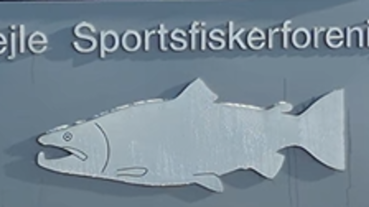 Skærmbillede 2024 02 15 095521