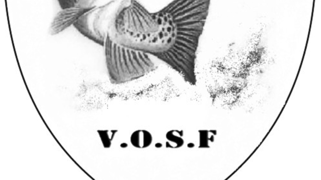 Ny Logo 2026. Jjj