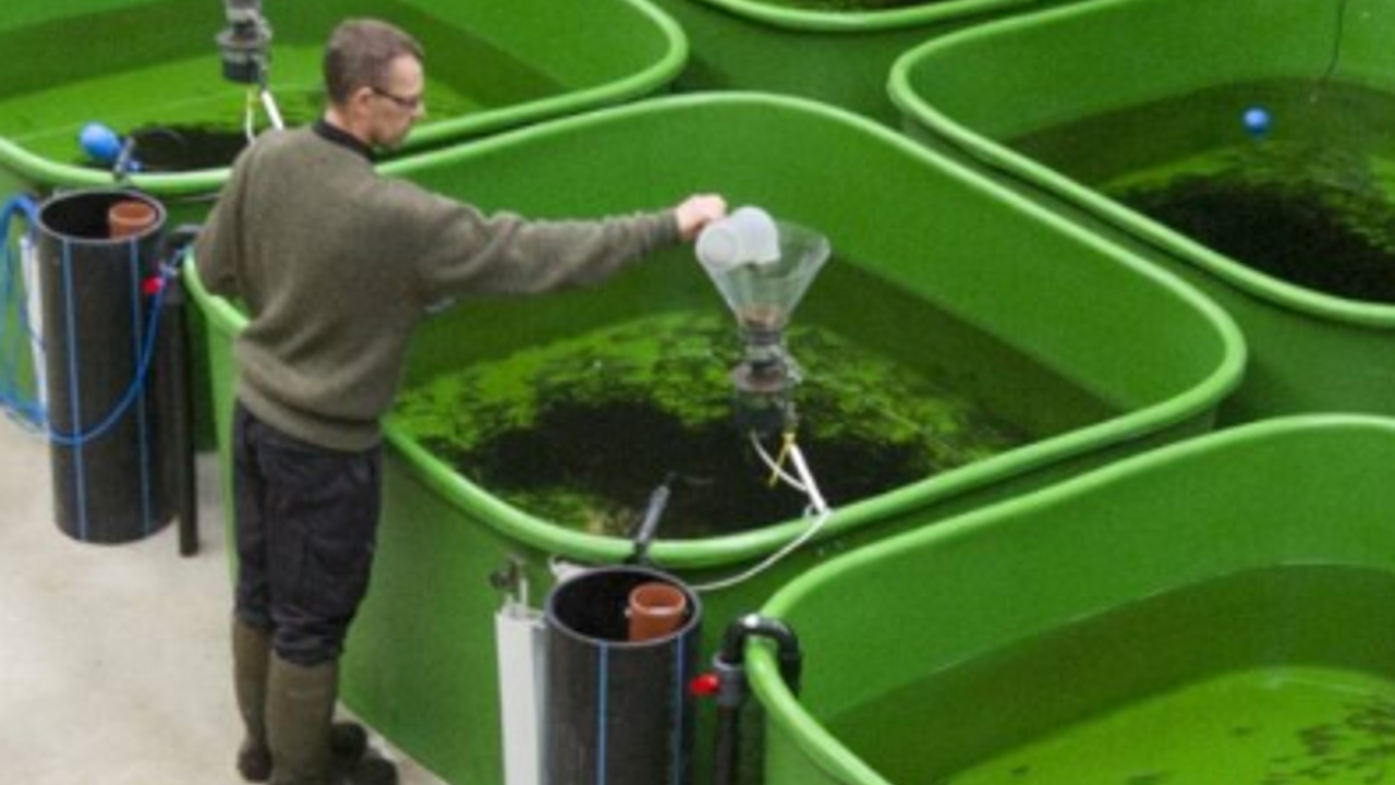 Danmarks Center For Vildlaks Kar M Laks Søren Larsen