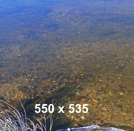 550X535
