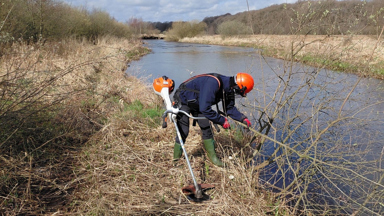 Beskæredage 2026 (4)