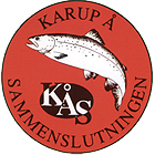 Cropped Kaas Logo 2