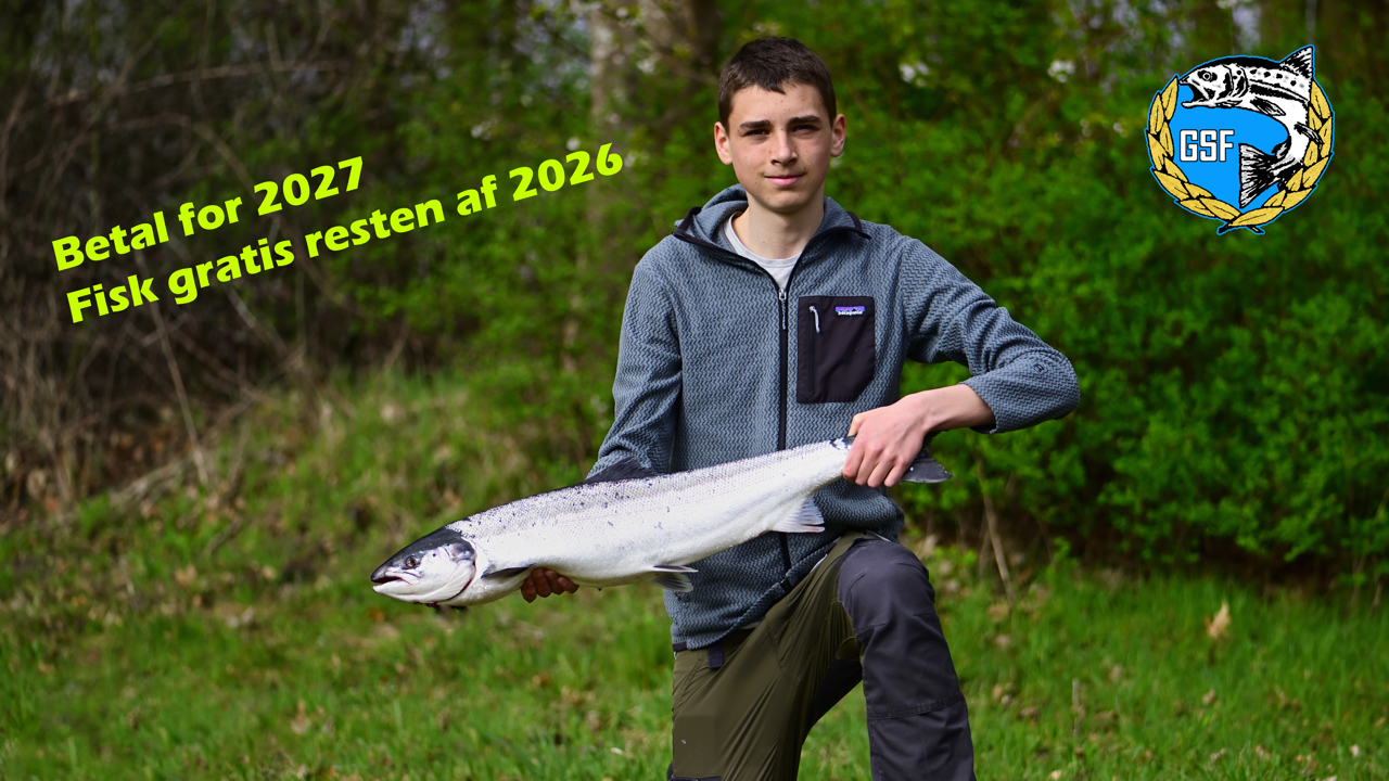 Betal For 27 26 Gratis (1)