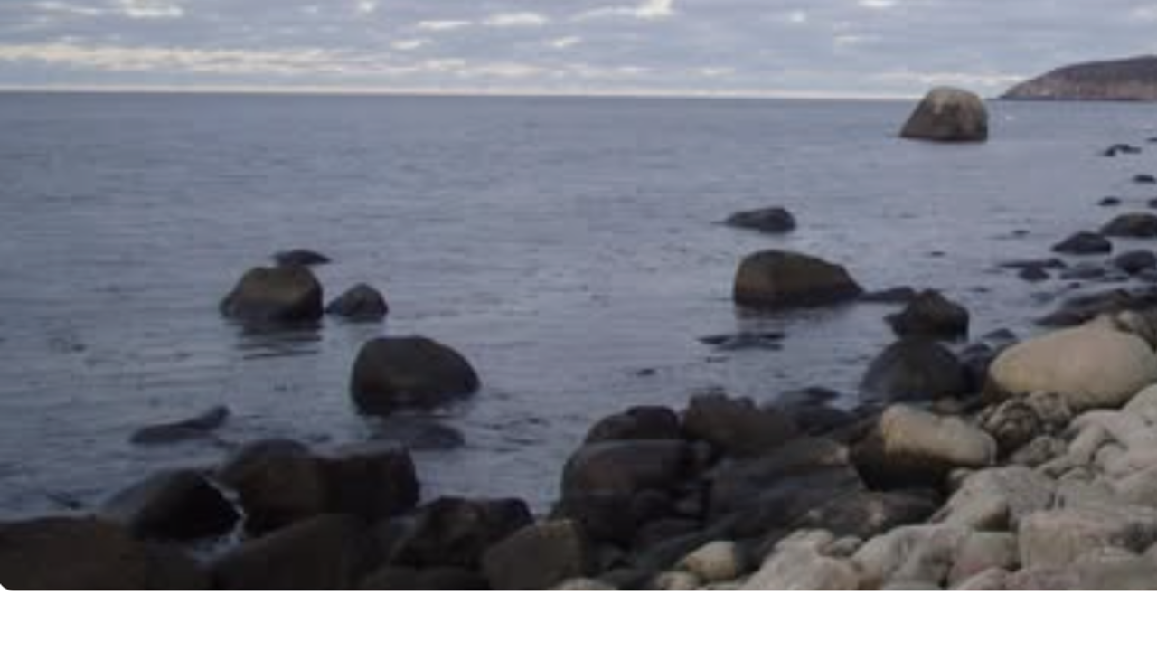 Skærmbillede 2026 02 08 165620