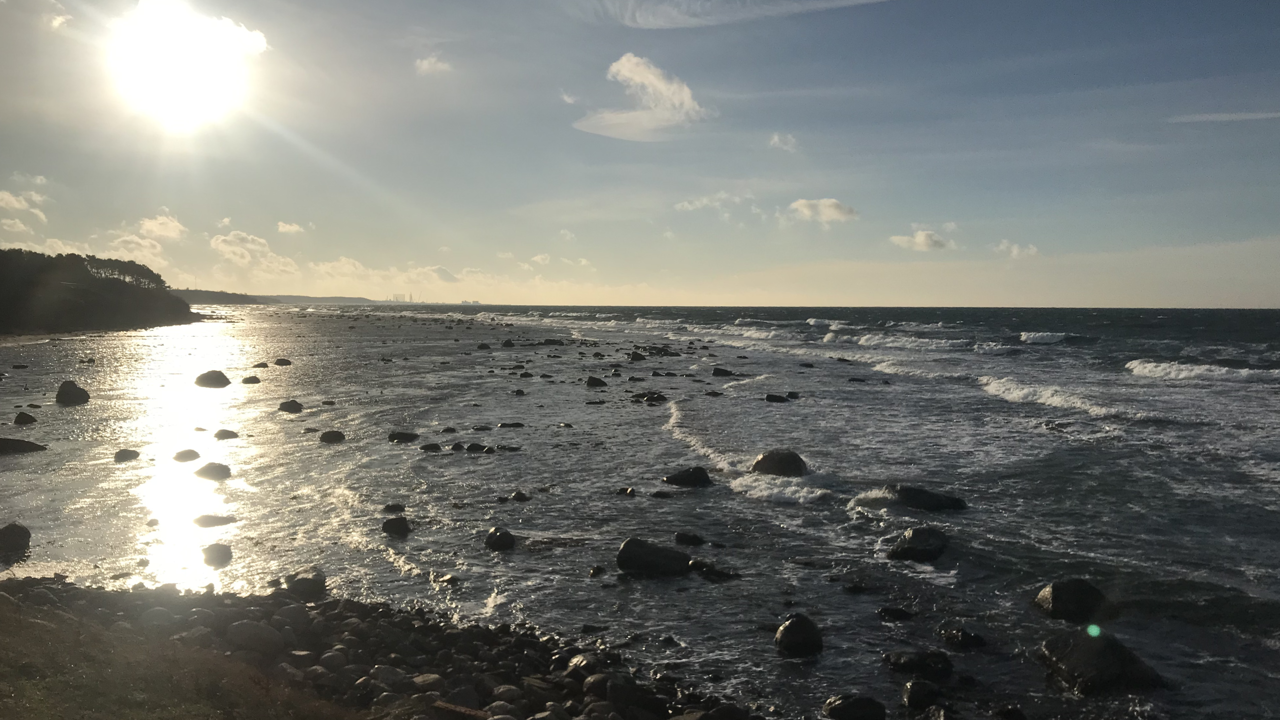 Lavvande (1)