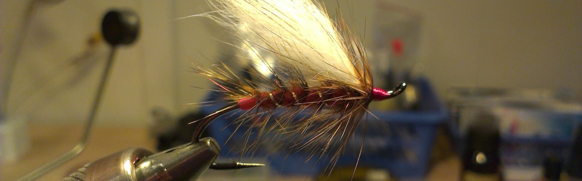 Hagebro Variant