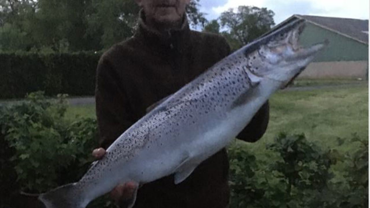 Preben Mørk 77 Cm 6,00 Kg 2022 05 24...