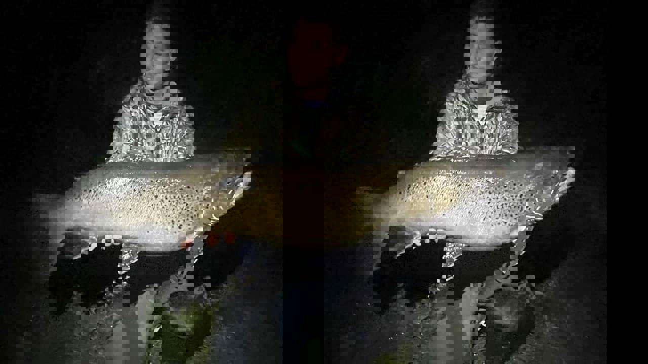 9Ef24bd6 Ff81 4B5c A30f F75cdea40add 38 90 0 0 2953 1660 1440 809 8F272af7