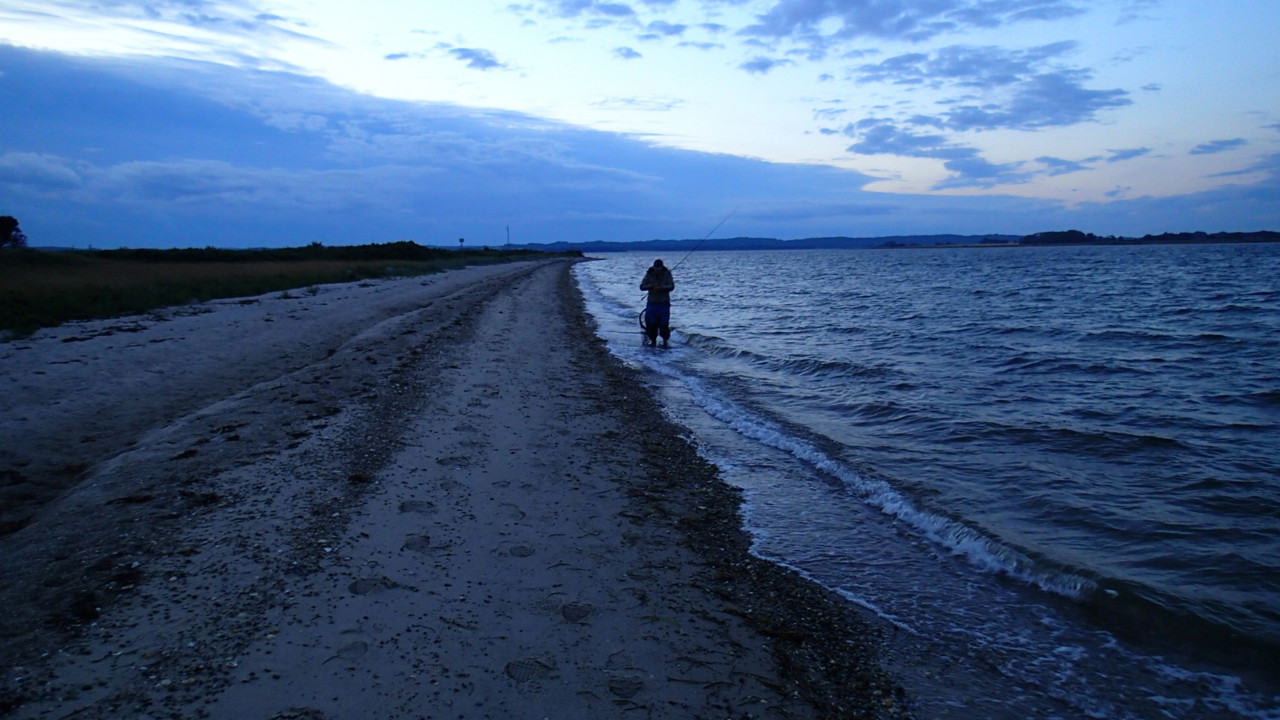 P7120819