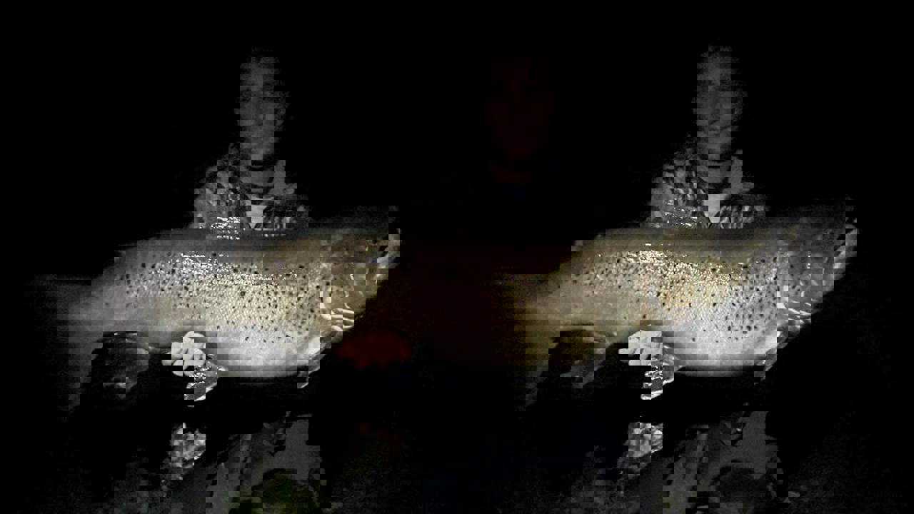 1Christoffer Larsen 87 7,162 20221008