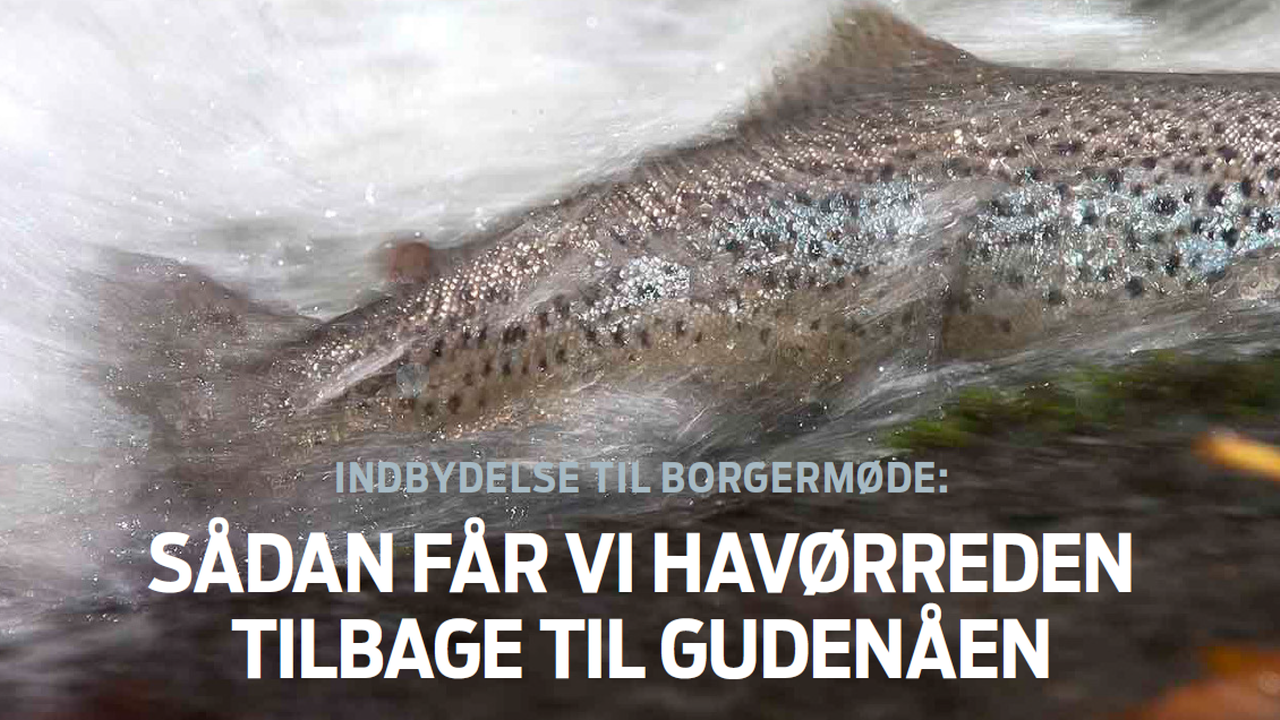 HØ Projekt Invitation Juni