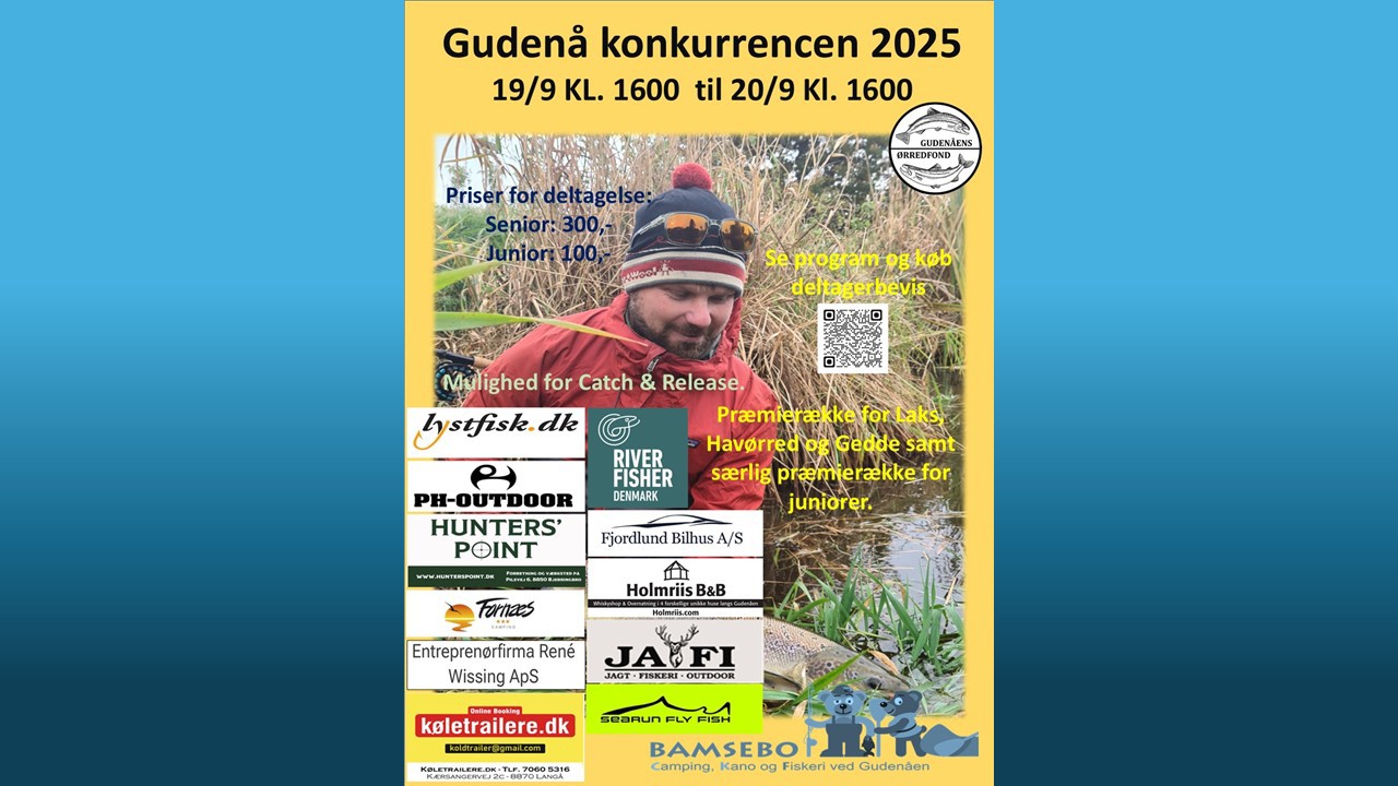GK 2025-3