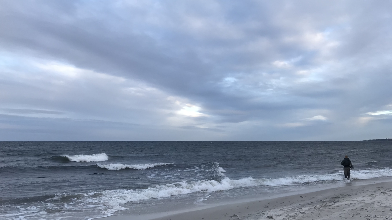 Sydvestenvind