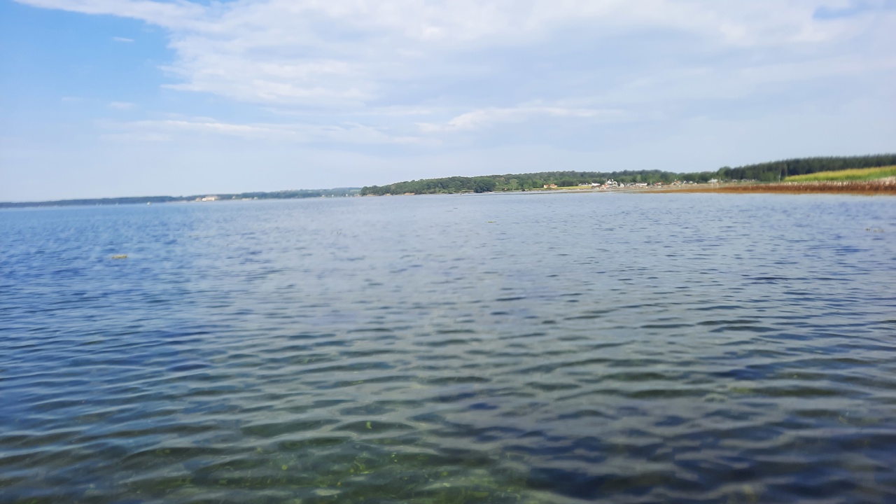 Thurø Juni 2023 (2)
