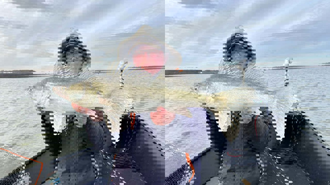 Messenger Creation 6EE38F18 2B32 424E A50B 2F4F75796029