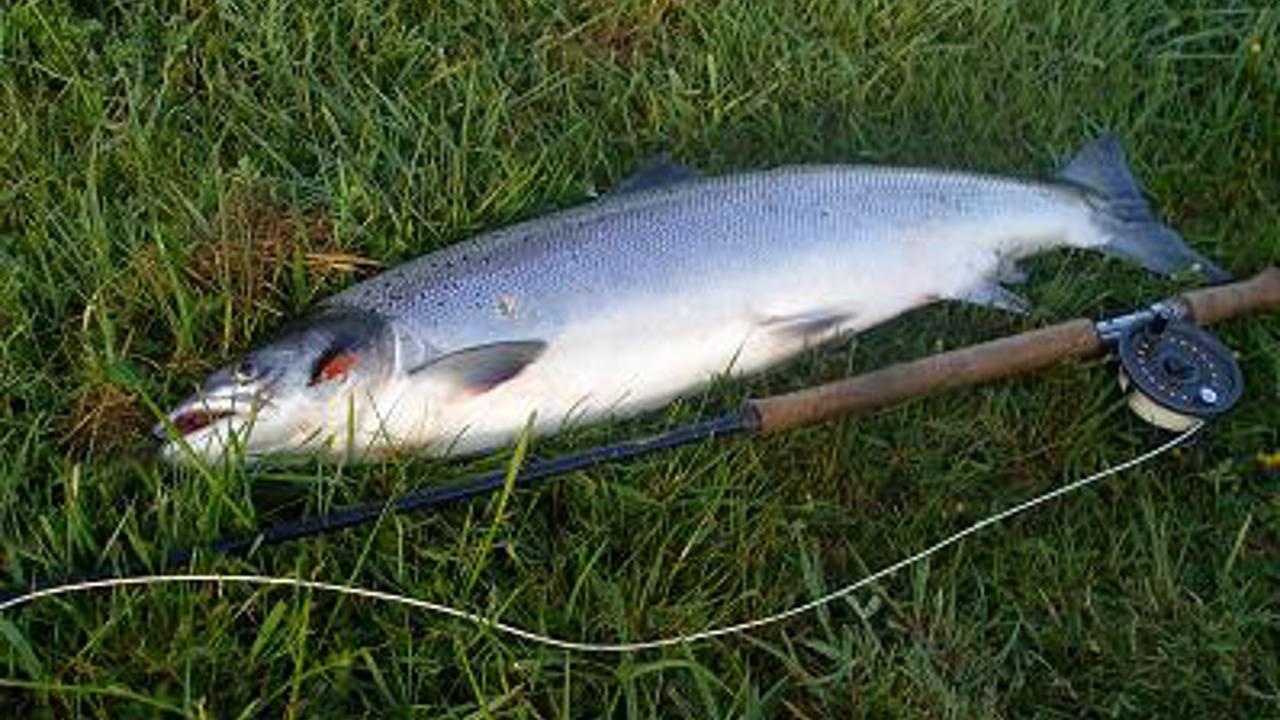 253 Jims Laks 18.05.2009 002X