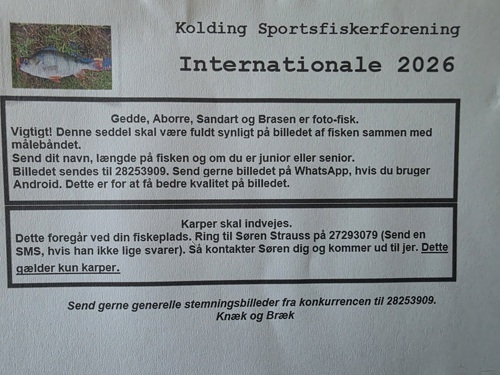 Foto Fisk Seddel