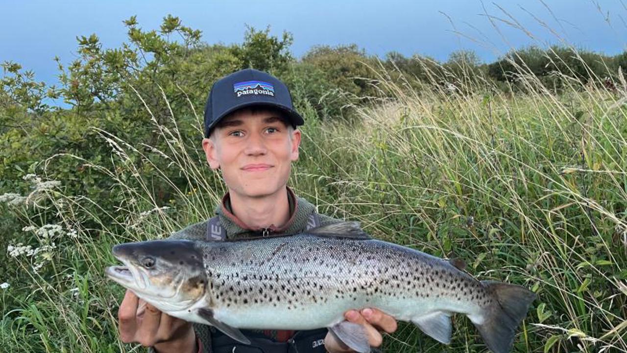 2024 8 12 Mads Tranberg Havørred 62 2,3