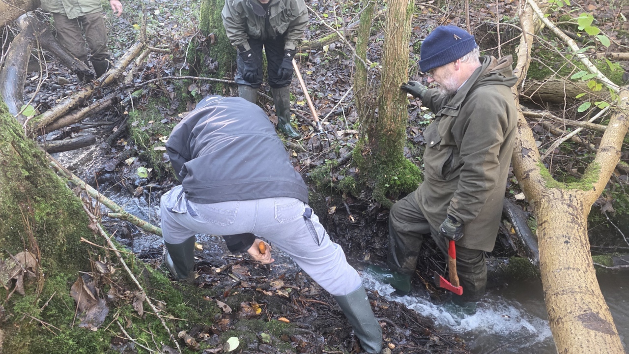 Fjerne Spærringer 2025 11 17
